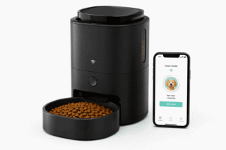 Best Automatic Dog Feeders