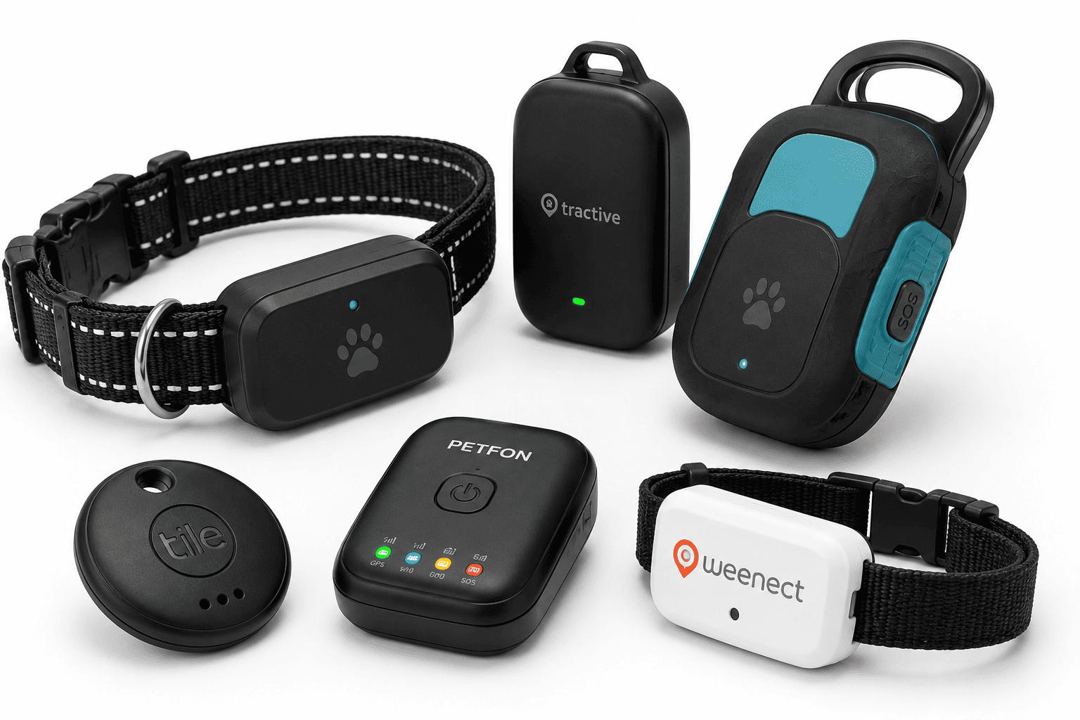 Best Dog GPS Trackers