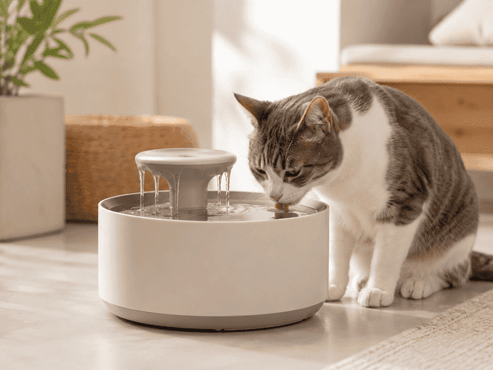 Best Cat Water Fountains