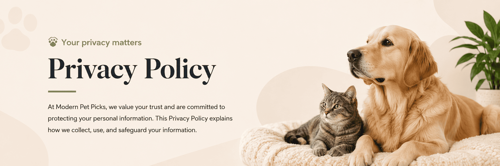 Privacy Policy banner