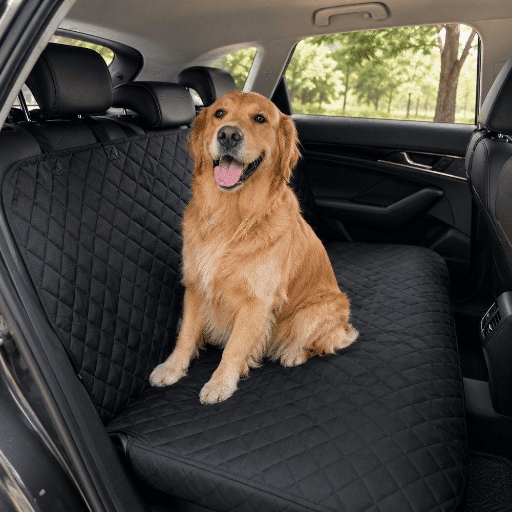Best Dog Car Seat Covers in 2026